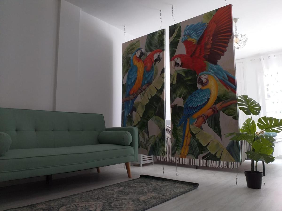 Tropical Loft Apartment Коралео Екстериор снимка
